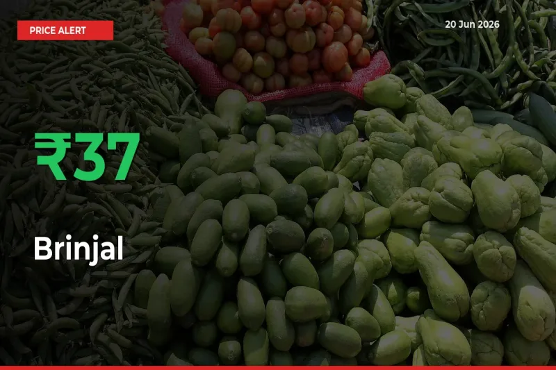 Brinjal Mandi Rate Today: Prices Jump 37.36% at Market