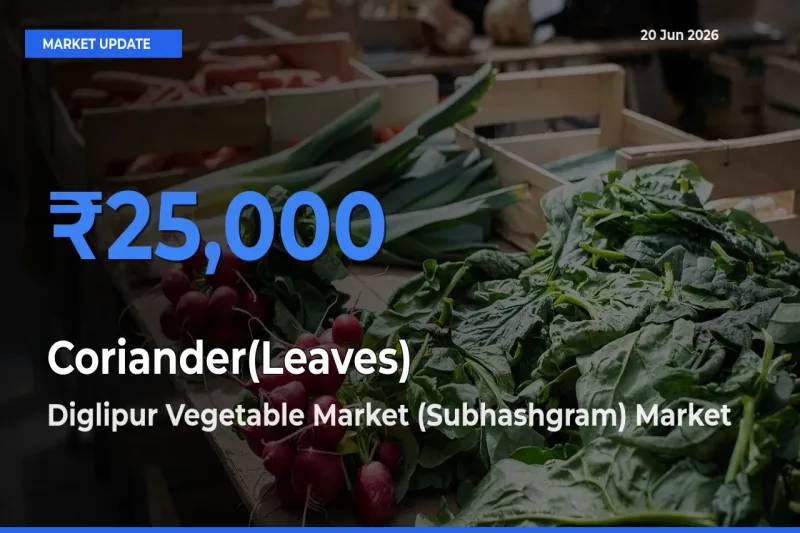 Top Performer! Diglipur Vegetable Market (Subhashgram) Offers Best Coriander(Leaves) Price Today