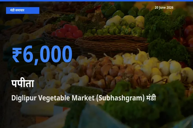 बाज़ार संकेत: Diglipur Vegetable Market (Subhashgram) बना पपीता के लिए आज की टॉप मंडी