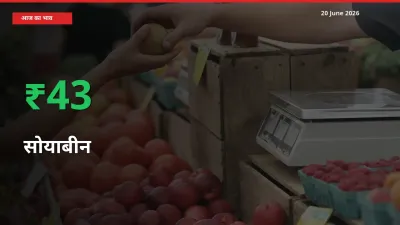 आज का मंडी भाव: सोयाबीन के दाम मंडी में 42.55% ऊपर