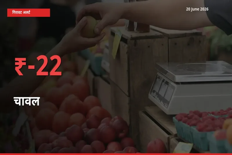 चावल 22.46% गिरा, मंडी