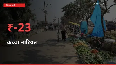 बाज़ार संकेत: कच्चा नारियल के भाव मंडी में 23.35% नीचे