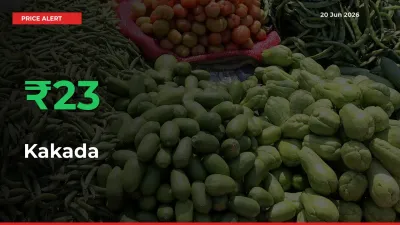 Farmers Cheer as Kakada Prices Surge 23.16% in Local Mandis