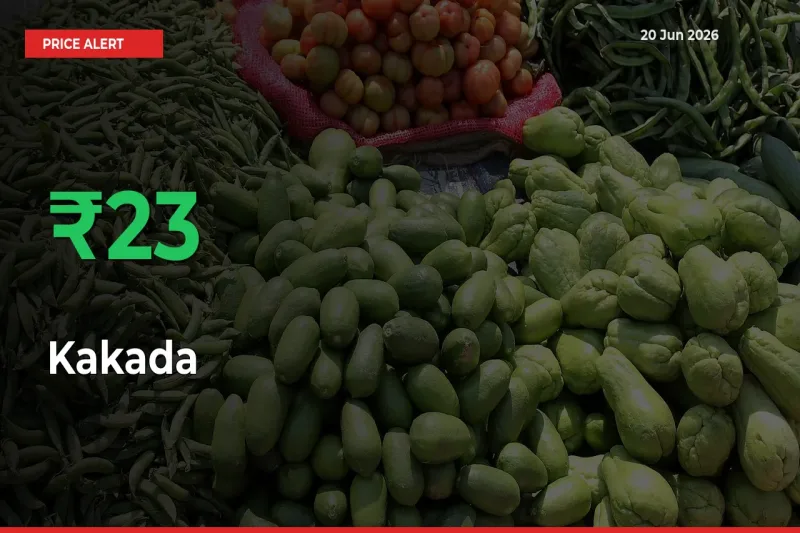 Farmers Cheer as Kakada Prices Surge 23.16% in Local Mandis
