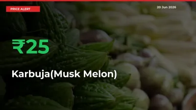 Sudden 24.76% Rally in Karbuja(Musk Melon) Prices Across Mandis