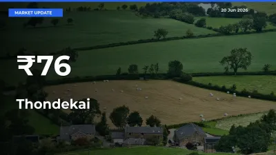 Multi-Mandi Trend Emerges as Thondekai Prices Shift Across Key Markets