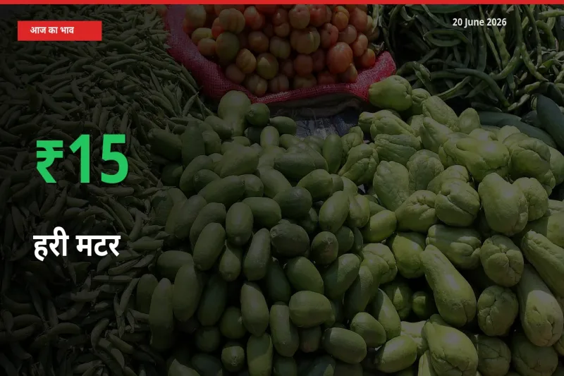 स्थानीय मंडी में हरी मटर के दाम अचानक 15.32% उछले, किसान सतर्क