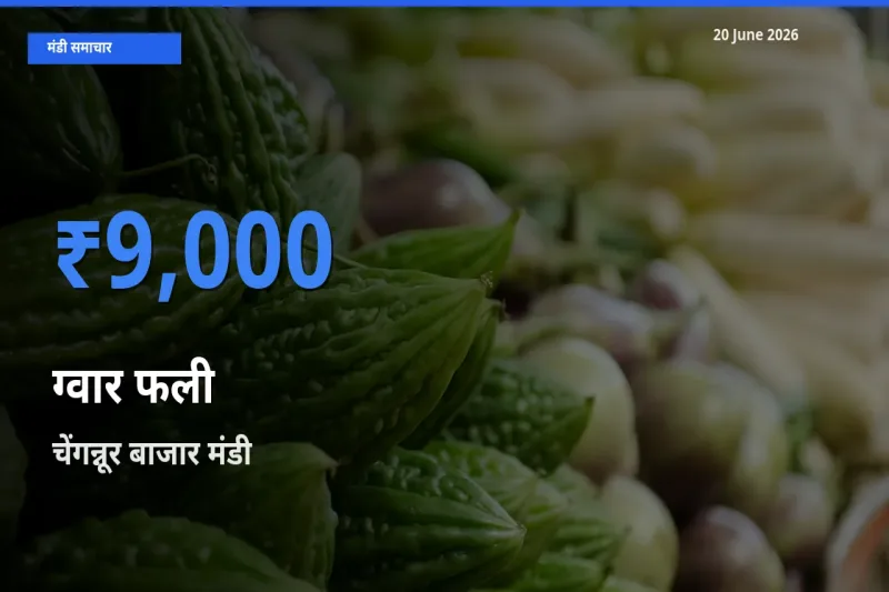 आज का मंडी भाव: ग्वार फली के सबसे ज़्यादा दाम चेंगन्नूर बाजार में