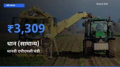 टॉप मंडी बना मानवी एपीएमसी! धान (सामान्य) के सबसे ऊँचे दाम यहीं दर्ज