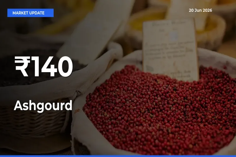Ashgourd Prices Trend Across 140+ Mandis – Market Direction Turns Clear
