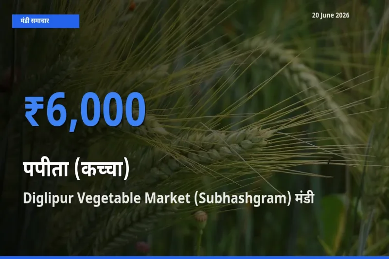 Diglipur Vegetable Market (Subhashgram) मंडी में आज पपीता (कच्चा) के सबसे ऊँचे दाम दर्ज