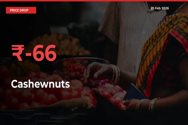 Cashewnuts Falls 65.85% at Mandis