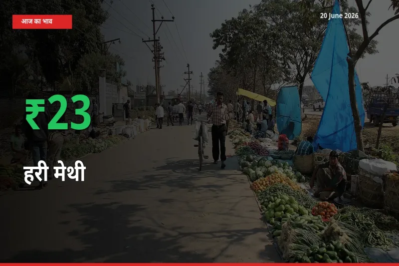 20 June अपडेट: हरी मेथी के दाम मंडी में 23.13% उछले