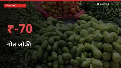 20 June अपडेट: गोल लौकी के दाम मंडी में 69.57% गिरे