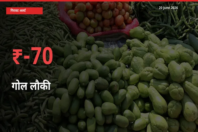 20 June अपडेट: गोल लौकी के दाम मंडी में 69.57% गिरे