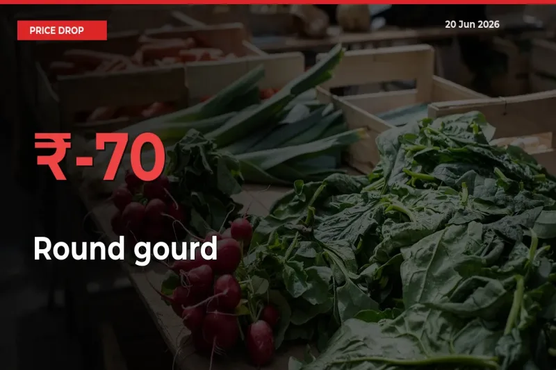 Sharp Fall! Round gourd Prices Plunge 69.57% in a Day at Key Mandis
