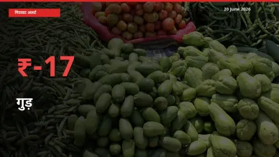 अचानक झटका! मंडी में गुड़ के दाम 17.46% टूटे