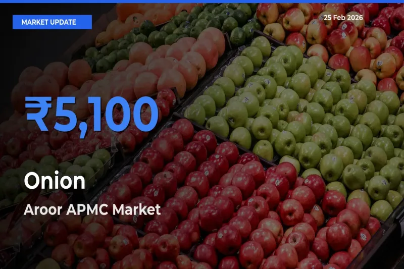 Onion Mandi Rate Today: Aroor APMC Tops the List