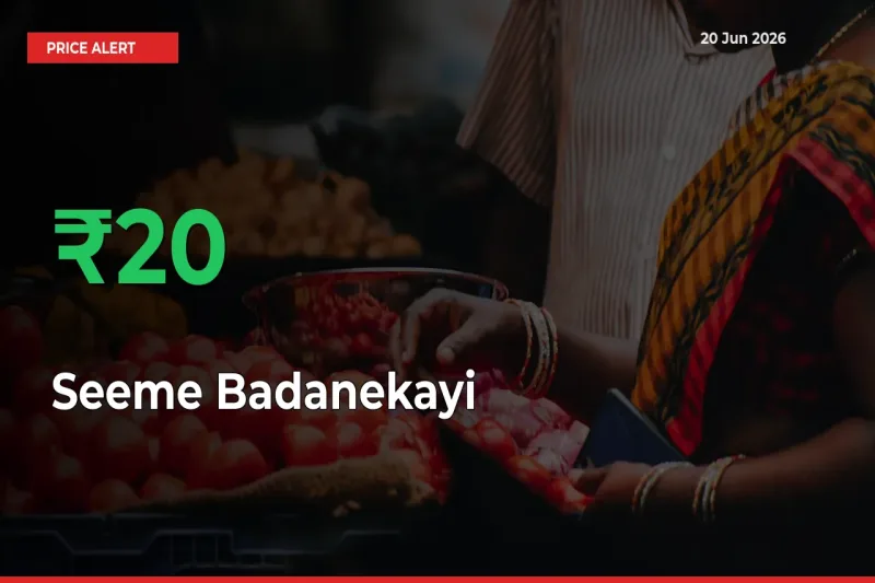 Sudden 20% Rally in Seeme Badanekayi Prices Across Mandis