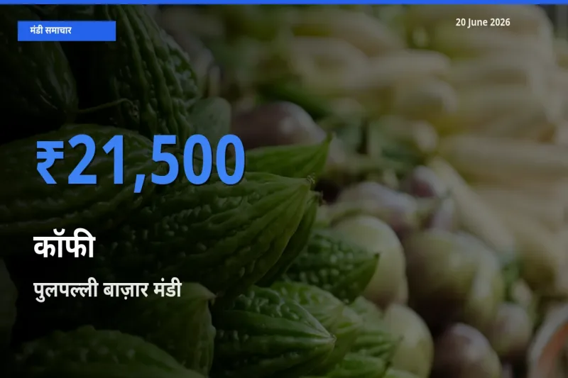 आज का मंडी भाव: कॉफी के सबसे ज़्यादा दाम पुलपल्ली बाज़ार में