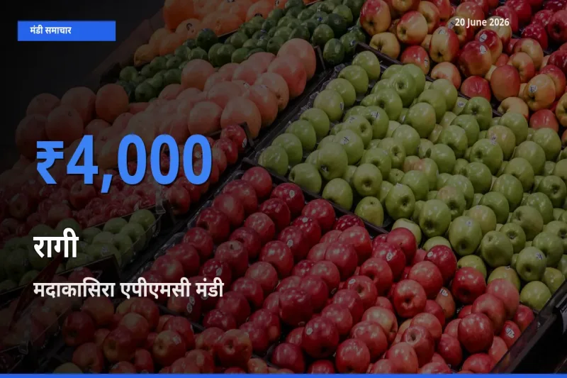 किसानों की पसंद बना मदाकासिरा एपीएमसी, रागी के सबसे अच्छे दाम
