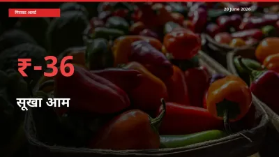 बाज़ार संकेत: सूखा आम के भाव मंडी में 35.53% नीचे