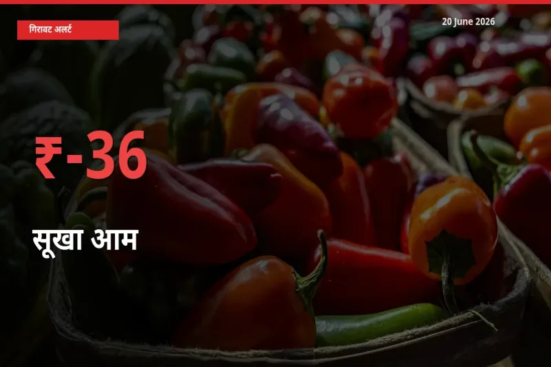 बाज़ार संकेत: सूखा आम के भाव मंडी में 35.53% नीचे