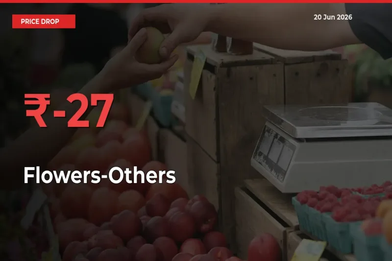 Farmers Alert as Flowers-Others Prices Slide 26.57% in Local Mandis