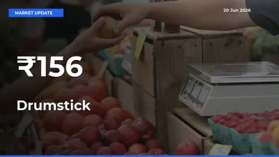 Drumstick Mandi Prices Move in Sync Across Major Markets Today
