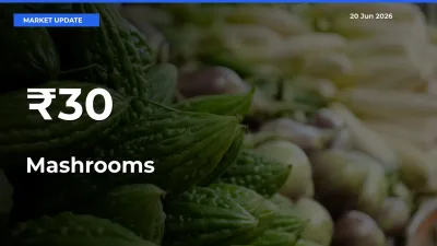 Why Mashrooms Prices Are Moving Across Multiple Mandis Today