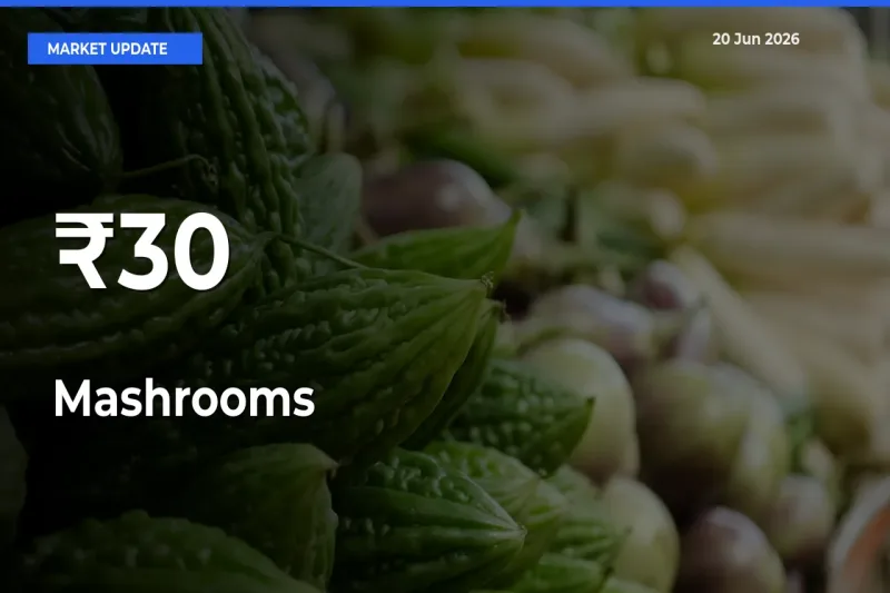 Why Mashrooms Prices Are Moving Across Multiple Mandis Today