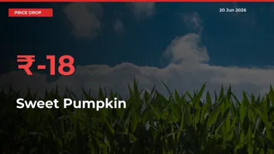 Sweet Pumpkin Prices Drop 17.56% in 24 Hours at Major Mandis