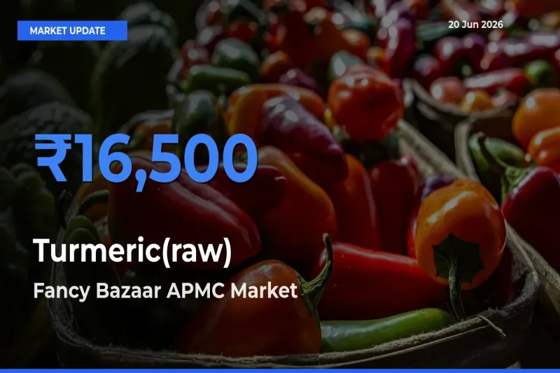 Turmeric(raw) Mandi Rate Today: Fancy Bazaar APMC Tops the List