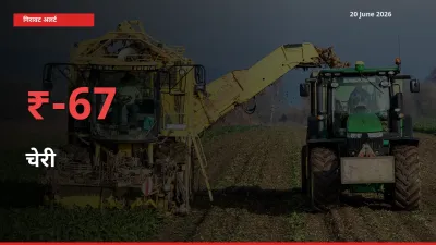 20 June अपडेट: चेरी के दाम मंडी में 67.18% गिरे