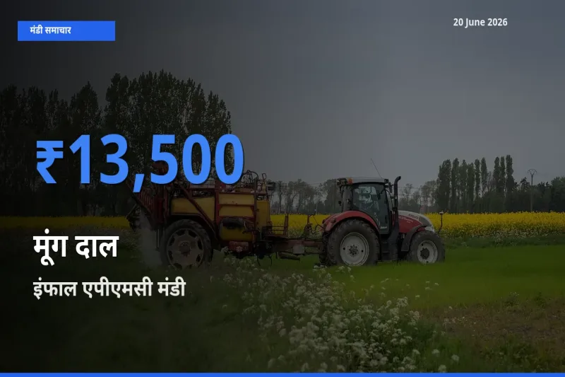 20 June अपडेट: मूंग दाल के सबसे ऊँचे दाम इंफाल एपीएमसी मंडी में