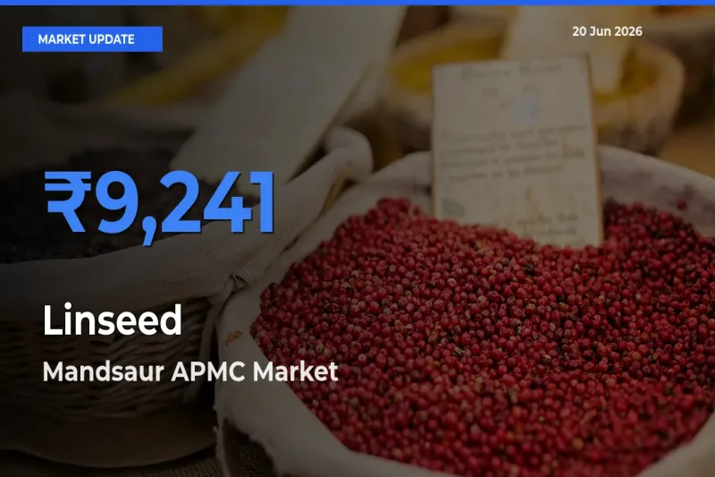 Market Watch: Mandsaur APMC Becomes Top Mandi for Linseed
