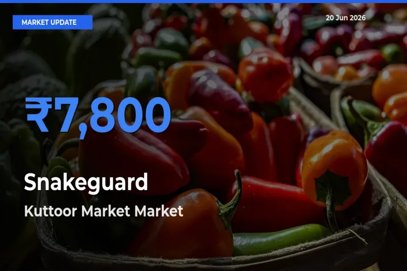 Top Performer! Kuttoor Market Offers Best Snakeguard Price Today