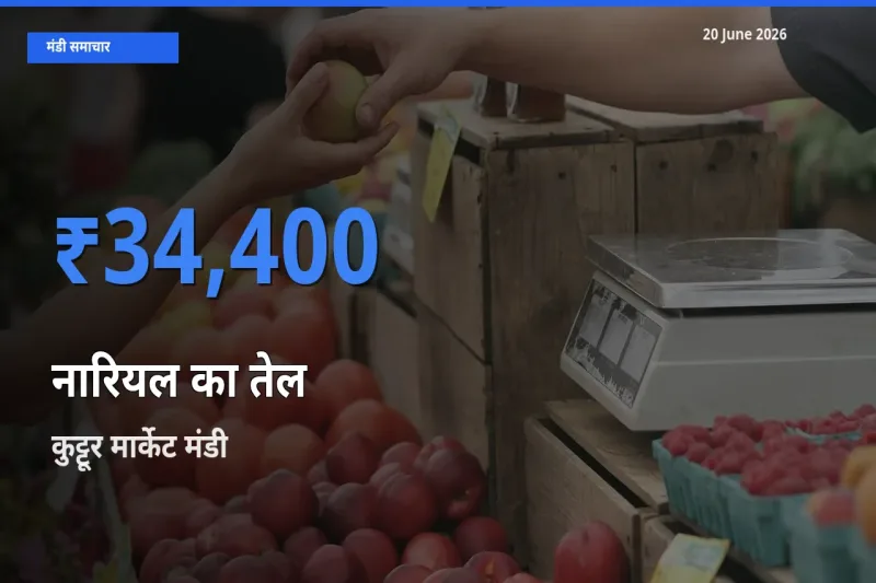 आज नारियल का तेल के सबसे ऊँचे दाम ₹34,400 कुट्टूर मार्केट मंडी में