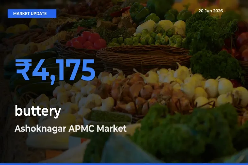 Ashoknagar APMC Tops buttery Rates – June 20 Market Update