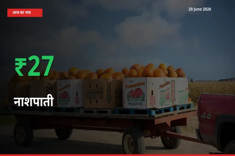 बाज़ार संकेत: नाशपाती के भाव मंडी में 27.36% ऊपर