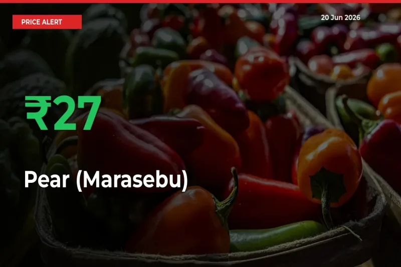 Farmers Cheer as Pear (Marasebu) Prices Surge 27.36% in Local Mandis