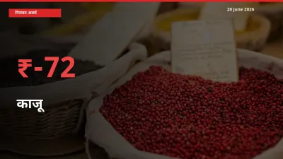 अचानक झटका! मंडी में काजू के दाम 72.1% टूटे