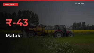 Farmers Alert as Mataki Prices Slide 42.95% in Local Mandis