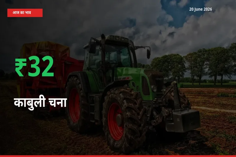 स्थानीय मंडी में काबुली चना के दाम अचानक 31.81% उछले, किसान सतर्क