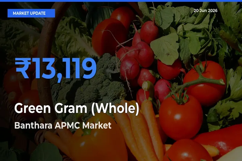 Banthara APMC Tops Green Gram (Whole) Mandi Rates Today
