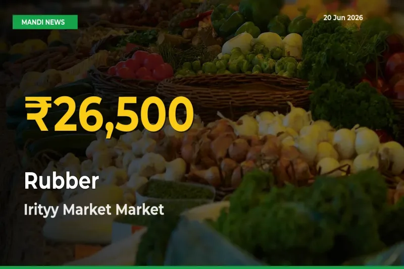 Irityy Market Leads as Rubber Hits Highest Rate – June 20 Update