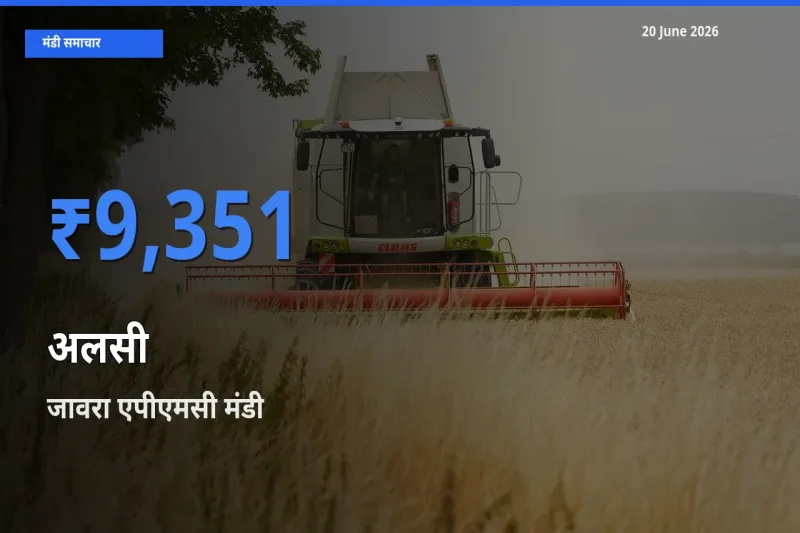 आज का मंडी भाव: अलसी के सबसे ज़्यादा दाम जावरा एपीएमसी में
