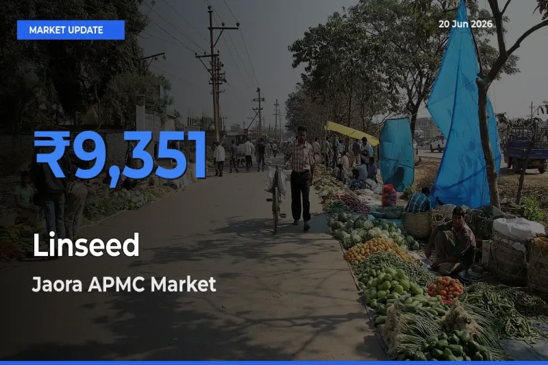 Linseed Mandi Rate Today: Jaora APMC Tops the List