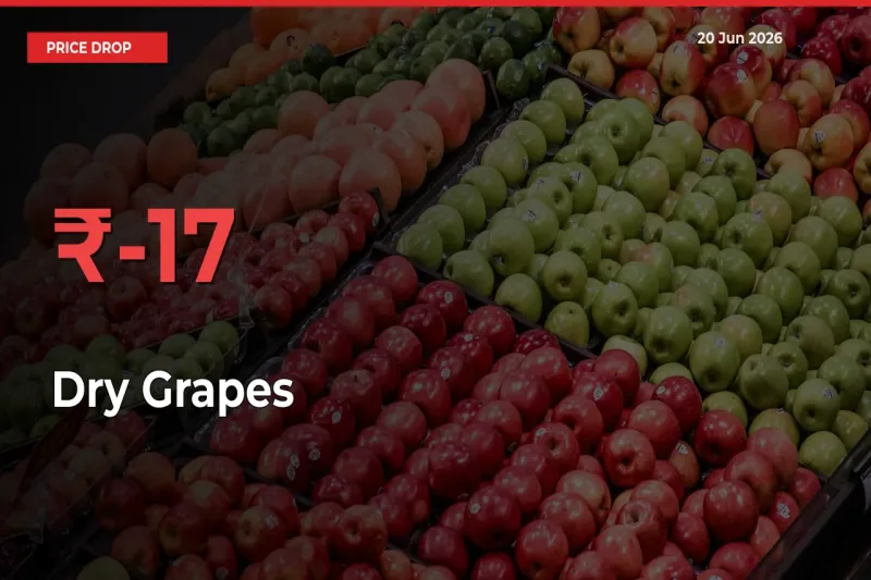 Dry Grapes Prices Drop 16.53% – June 20 Market Update from Mandis