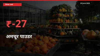 आज का मंडी भाव: अमचूर पाउडर के दाम मंडी में 27.38% नीचे